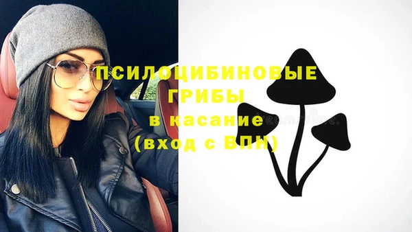 шишки Пестово