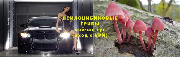твердый Покров