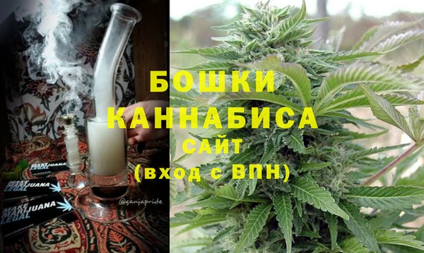 шишки Пестово