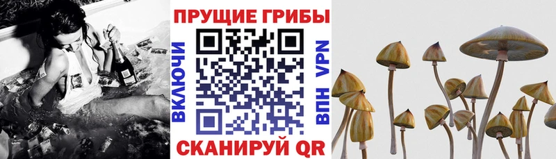 Галлюциногенные грибы Magic Shrooms  площадка состав  Краснодар  hydra tor 